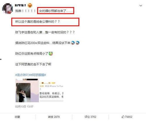 陈飞爆料视频最新,事件背后惊人真相